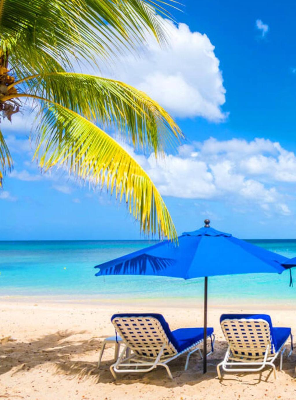 Pgs -Surf, Work, Relax Hotel Christ Church Luaran gambar