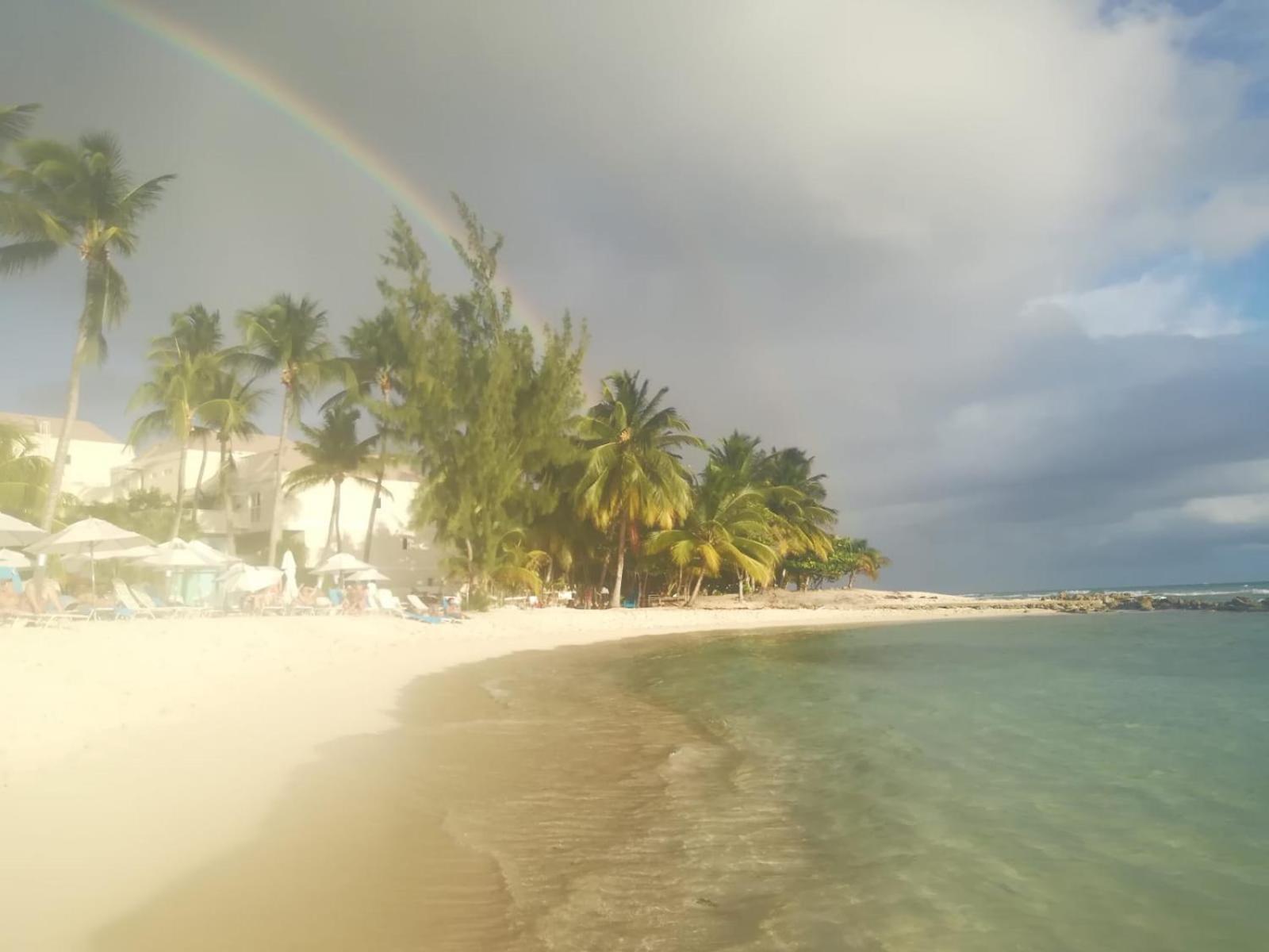Pgs -Surf, Work, Relax Hotel Christ Church Luaran gambar