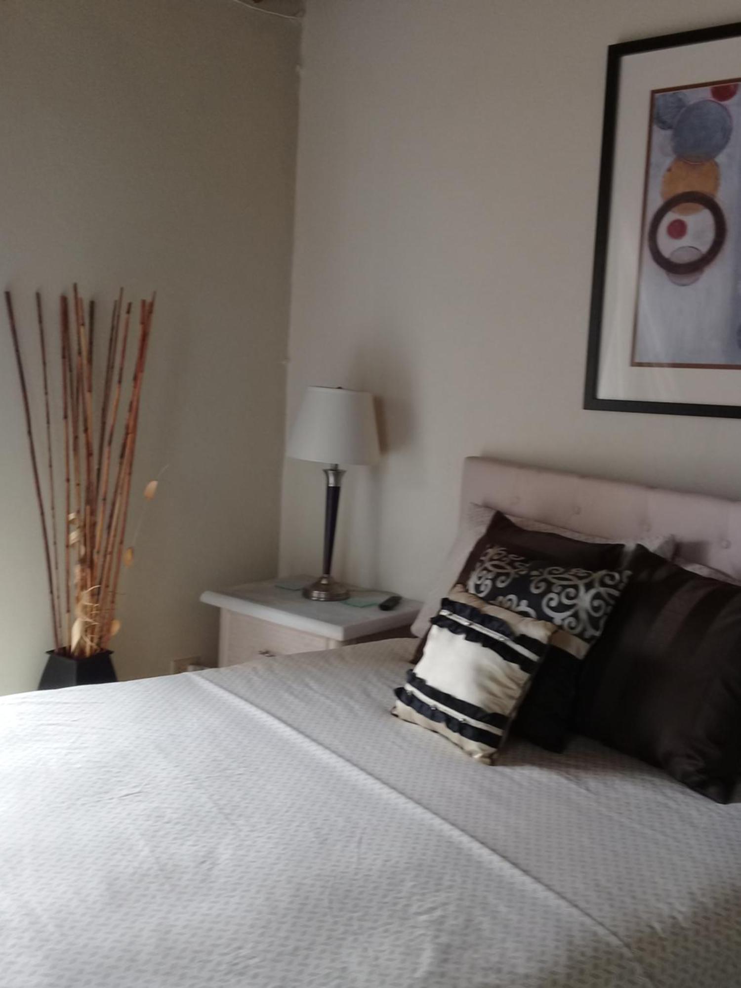 Pgs -Surf, Work, Relax Hotel Christ Church Luaran gambar