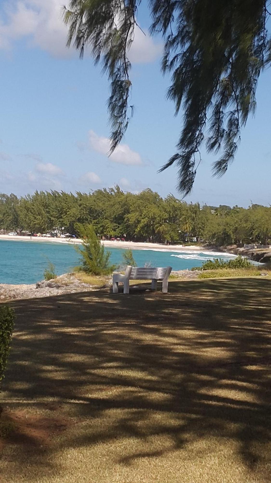 Pgs -Surf, Work, Relax Hotel Christ Church Luaran gambar
