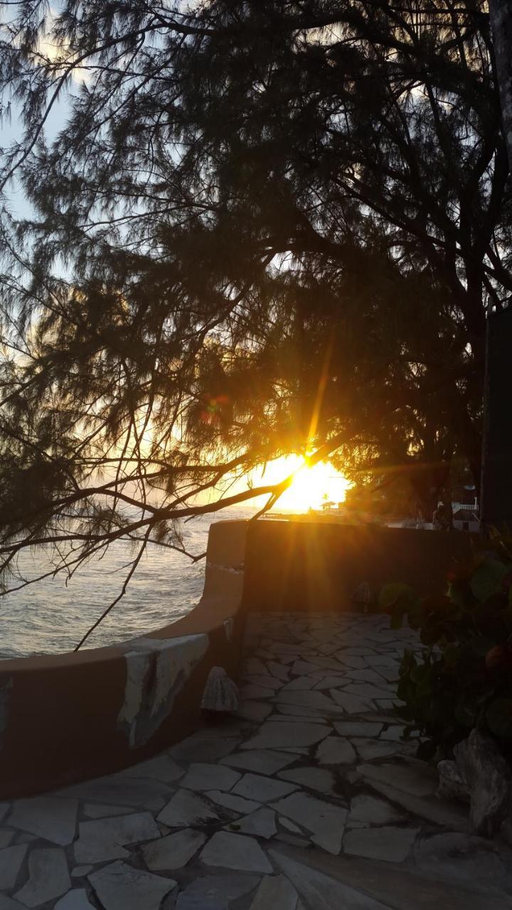 Pgs -Surf, Work, Relax Hotel Christ Church Luaran gambar