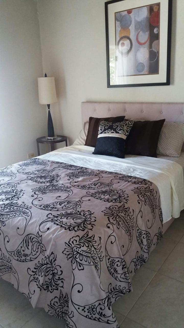 Pgs -Surf, Work, Relax Hotel Christ Church Luaran gambar