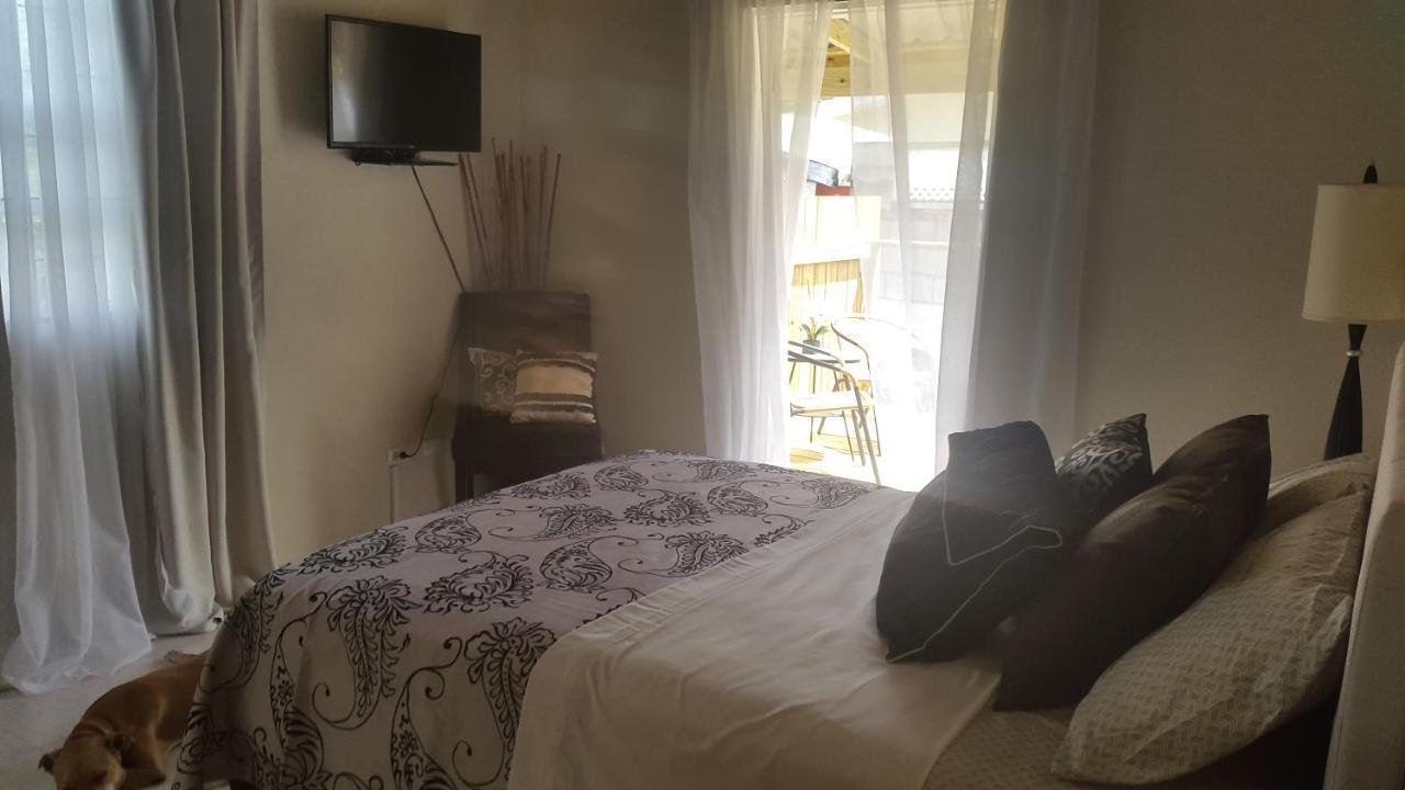 Pgs -Surf, Work, Relax Hotel Christ Church Luaran gambar